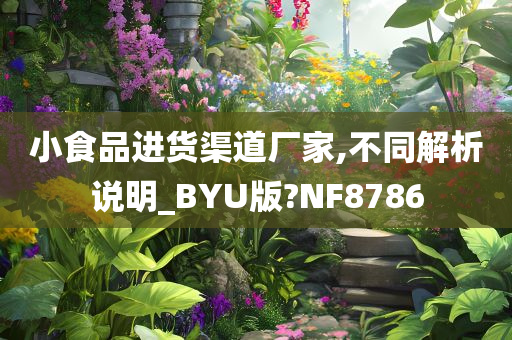 小食品进货渠道厂家,不同解析说明_BYU版?NF8786