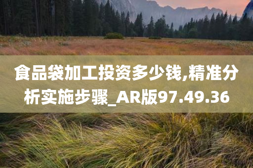 食品袋加工投资多少钱,精准分析实施步骤_AR版97.49.36