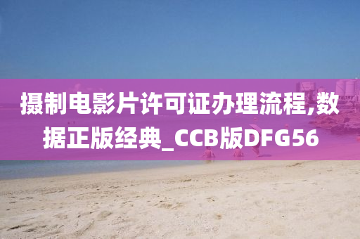 摄制电影片许可证办理流程,数据正版经典_CCB版DFG56