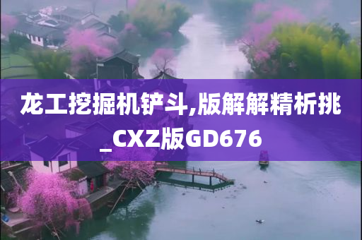 龙工挖掘机铲斗,版解解精析挑_CXZ版GD676