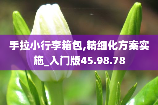 手拉小行李箱包,精细化方案实施_入门版45.98.78