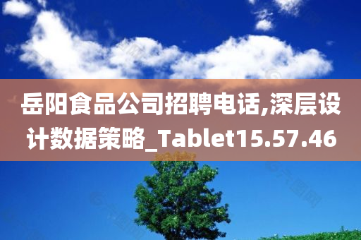 岳阳食品公司招聘电话,深层设计数据策略_Tablet15.57.46