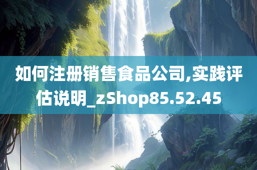 如何注册销售食品公司,实践评估说明_zShop85.52.45