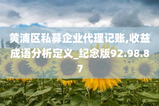 黄浦区私募企业代理记账,收益成语分析定义_纪念版92.98.87