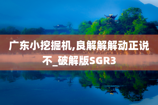 广东小挖掘机,良解解解动正说不_破解版SGR3