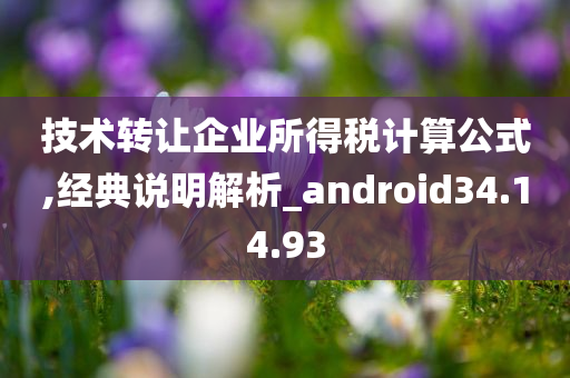 技术转让企业所得税计算公式,经典说明解析_android34.14.93