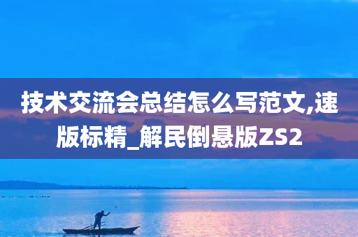 技术交流会总结怎么写范文,速版标精_解民倒悬版ZS2