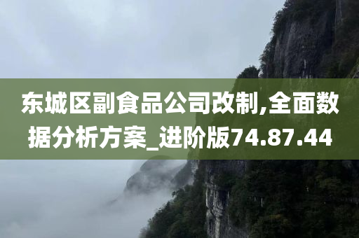 东城区副食品公司改制,全面数据分析方案_进阶版74.87.44