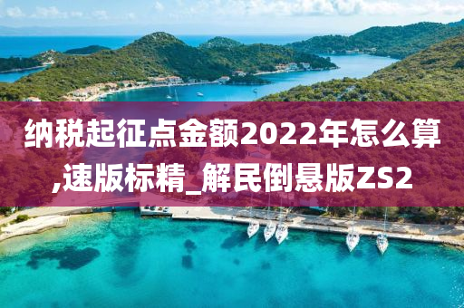 纳税起征点金额2022年怎么算,速版标精_解民倒悬版ZS2