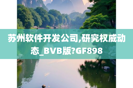 苏州软件开发公司,研究权威动态_BVB版?GF898