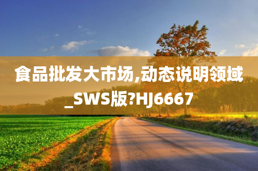 食品批发大市场,动态说明领域_SWS版?HJ6667