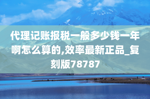 代理记账报税一般多少钱一年啊怎么算的,效率最新正品_复刻版78787