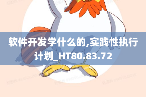 软件开发学什么的,实践性执行计划_HT80.83.72