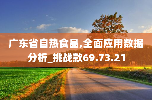 广东省自热食品,全面应用数据分析_挑战款69.73.21