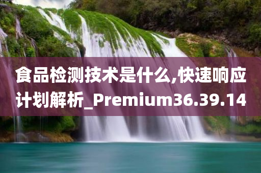 食品检测技术是什么,快速响应计划解析_Premium36.39.14