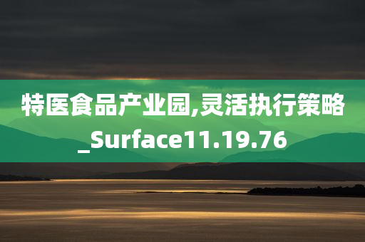 特医食品产业园,灵活执行策略_Surface11.19.76