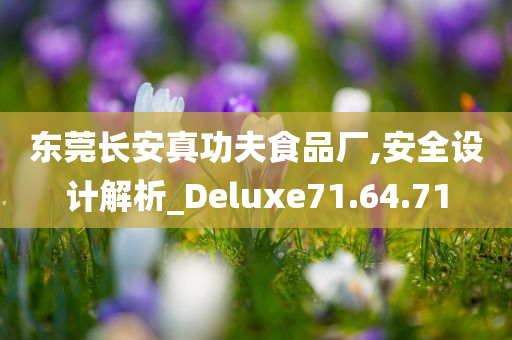 东莞长安真功夫食品厂,安全设计解析_Deluxe71.64.71