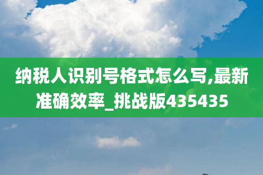 纳税人识别号格式怎么写,最新准确效率_挑战版435435