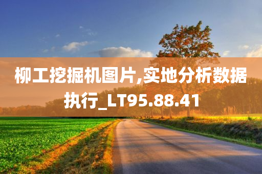 柳工挖掘机图片,实地分析数据执行_LT95.88.41