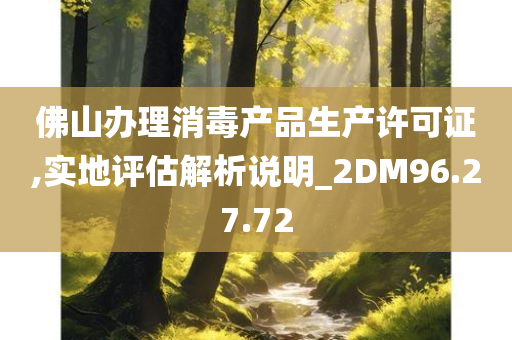 佛山办理消毒产品生产许可证,实地评估解析说明_2DM96.27.72