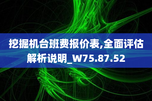 挖掘机台班费报价表,全面评估解析说明_W75.87.52