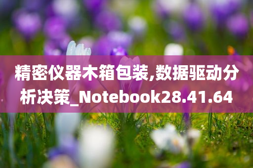 精密仪器木箱包装,数据驱动分析决策_Notebook28.41.64