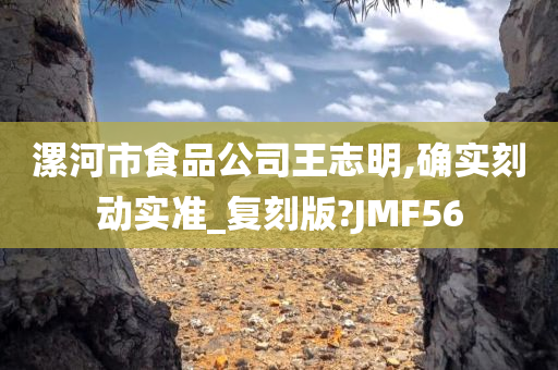 漯河市食品公司王志明,确实刻动实准_复刻版?JMF56