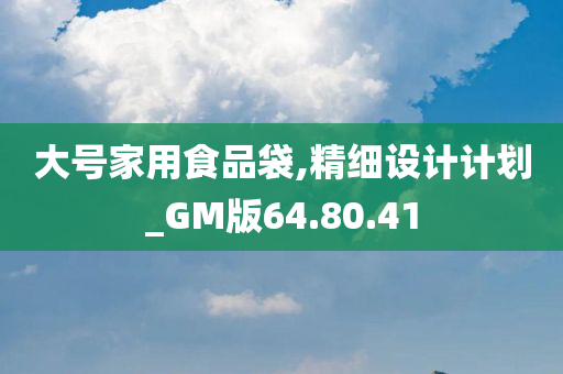 大号家用食品袋,精细设计计划_GM版64.80.41