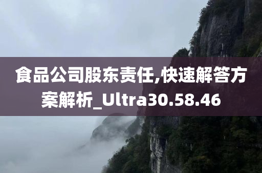 食品公司股东责任,快速解答方案解析_Ultra30.58.46