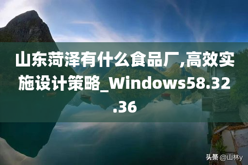 山东菏泽有什么食品厂,高效实施设计策略_Windows58.32.36