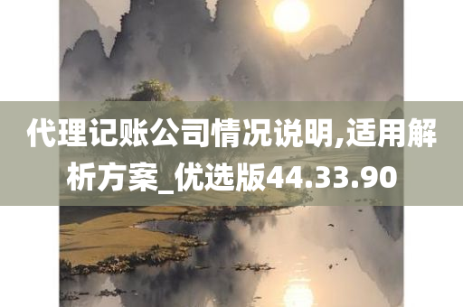 代理记账公司情况说明,适用解析方案_优选版44.33.90