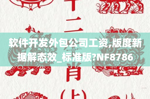 软件开发外包公司工资,版度新据解态效_标准版?NF8786