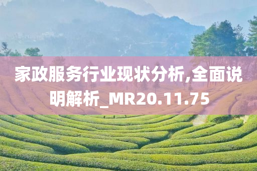 家政服务行业现状分析,全面说明解析_MR20.11.75