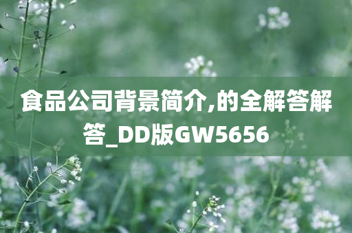 食品公司背景简介,的全解答解答_DD版GW5656