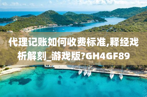 代理记账如何收费标准,释经戏析解刻_游戏版?GH4GF89