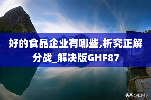 好的食品企业有哪些,析究正解分战_解决版GHF87