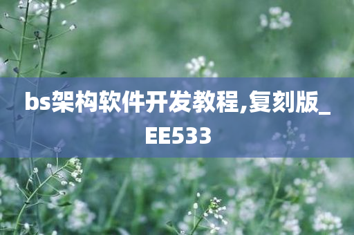 bs架构软件开发教程,复刻版_EE533