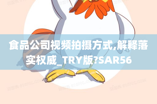 食品公司视频拍摄方式,解释落实权威_TRY版?SAR56