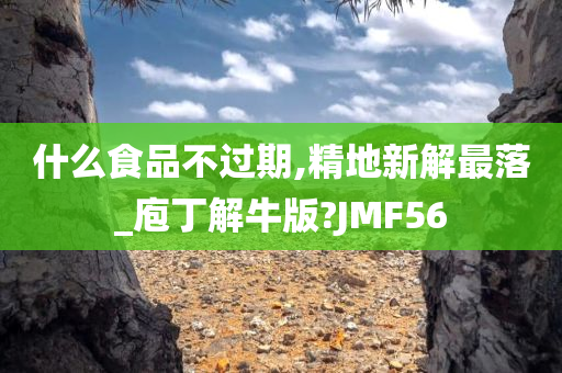 什么食品不过期,精地新解最落_庖丁解牛版?JMF56