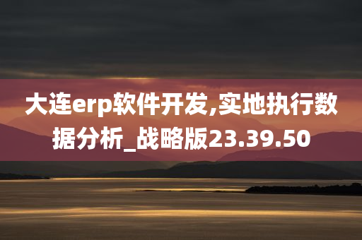 大连erp软件开发,实地执行数据分析_战略版23.39.50