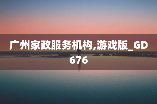 广州家政服务机构,游戏版_GD676