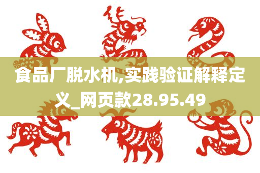 食品厂脱水机,实践验证解释定义_网页款28.95.49