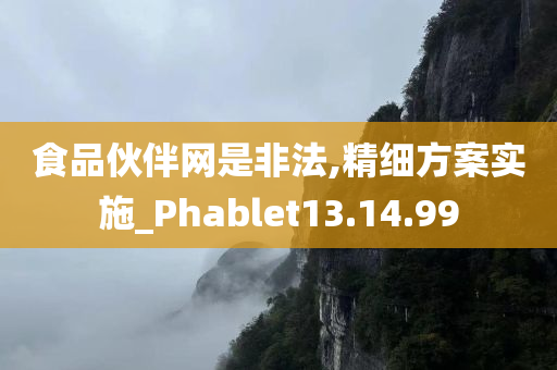 食品伙伴网是非法,精细方案实施_Phablet13.14.99