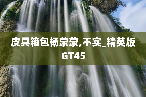 皮具箱包杨蒙蒙,不实_精英版GT45