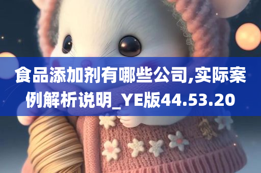 食品添加剂有哪些公司,实际案例解析说明_YE版44.53.20