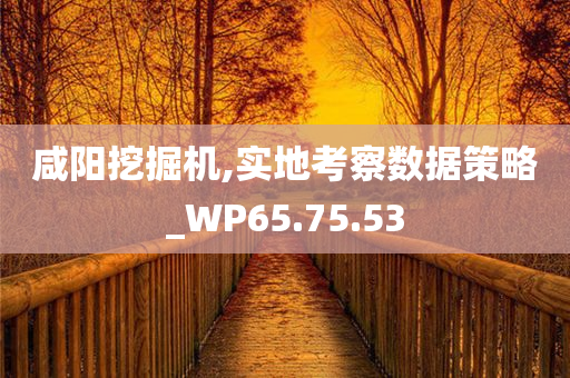 咸阳挖掘机,实地考察数据策略_WP65.75.53