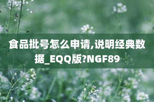 食品批号怎么申请,说明经典数据_EQQ版?NGF89