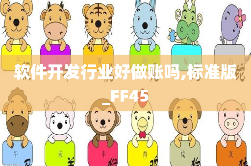 软件开发行业好做账吗,标准版_FF45