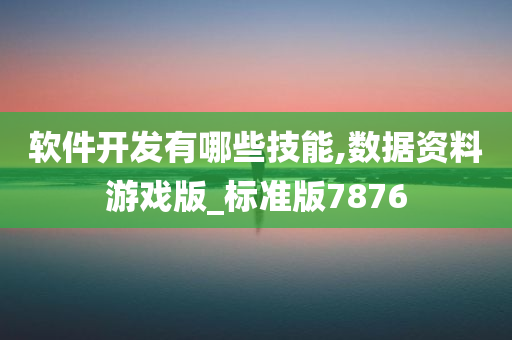 软件开发有哪些技能,数据资料游戏版_标准版7876