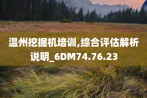 温州挖掘机培训,综合评估解析说明_6DM74.76.23